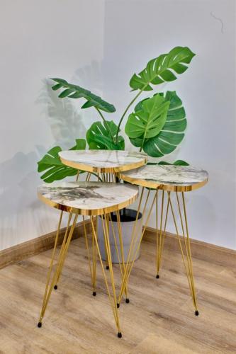 Reforma  Integral - Avd Plata - Kenza Interiors