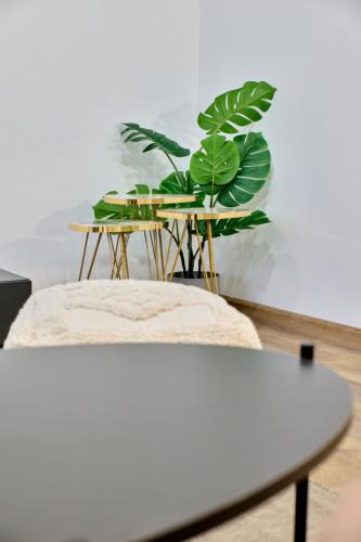 Reforma  Integral - Avd Plata - Kenza Interiors