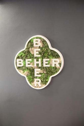 LifeStyle & Arch Taberna BeHer en Pza Ayto. Valencia 16 ·
