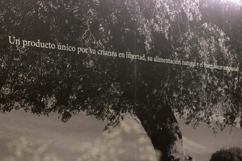 LifeStyle & Arch Taberna BeHer en Pza Ayto. Valencia 16 ·